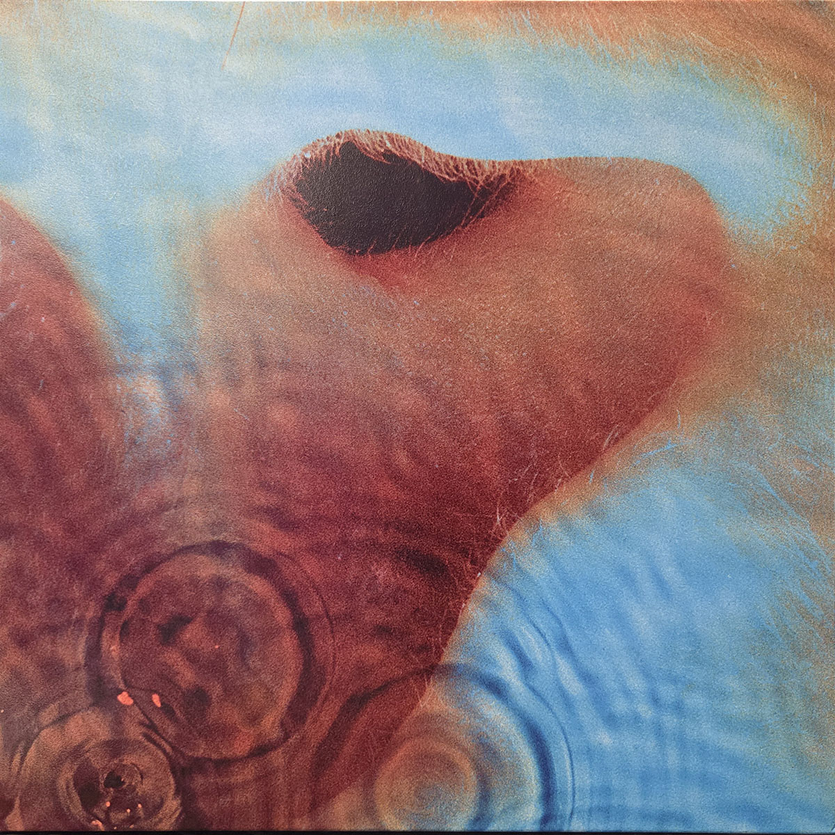 Meddle - PINK FLOYD Płyta winylowa LP - Vinylhouse - sklep z muzyką na płytach winylowych