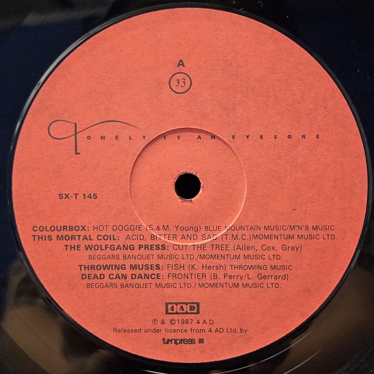 Lonely is an eyesore - KOMPILACJA Płyta winylowa LP - Vinylhouse - sklep z muzyką na płytach winylowych