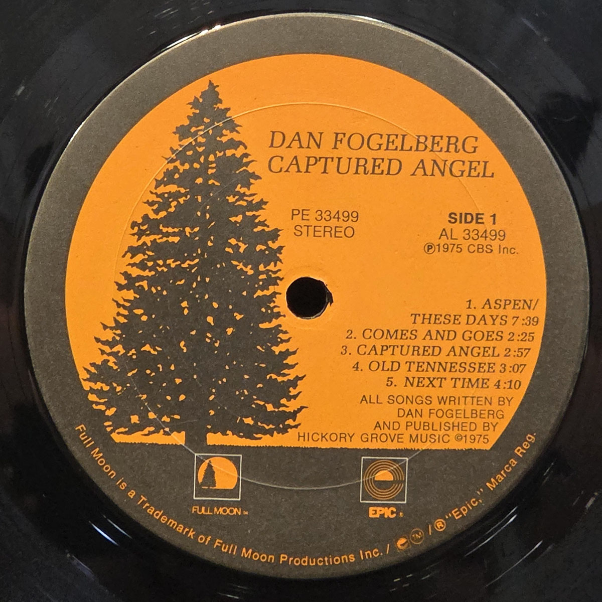 Captured angel - DAN FOGELBERG Płyta winylowa LP - Vinylhouse - sklep z muzyką na płytach winylowych