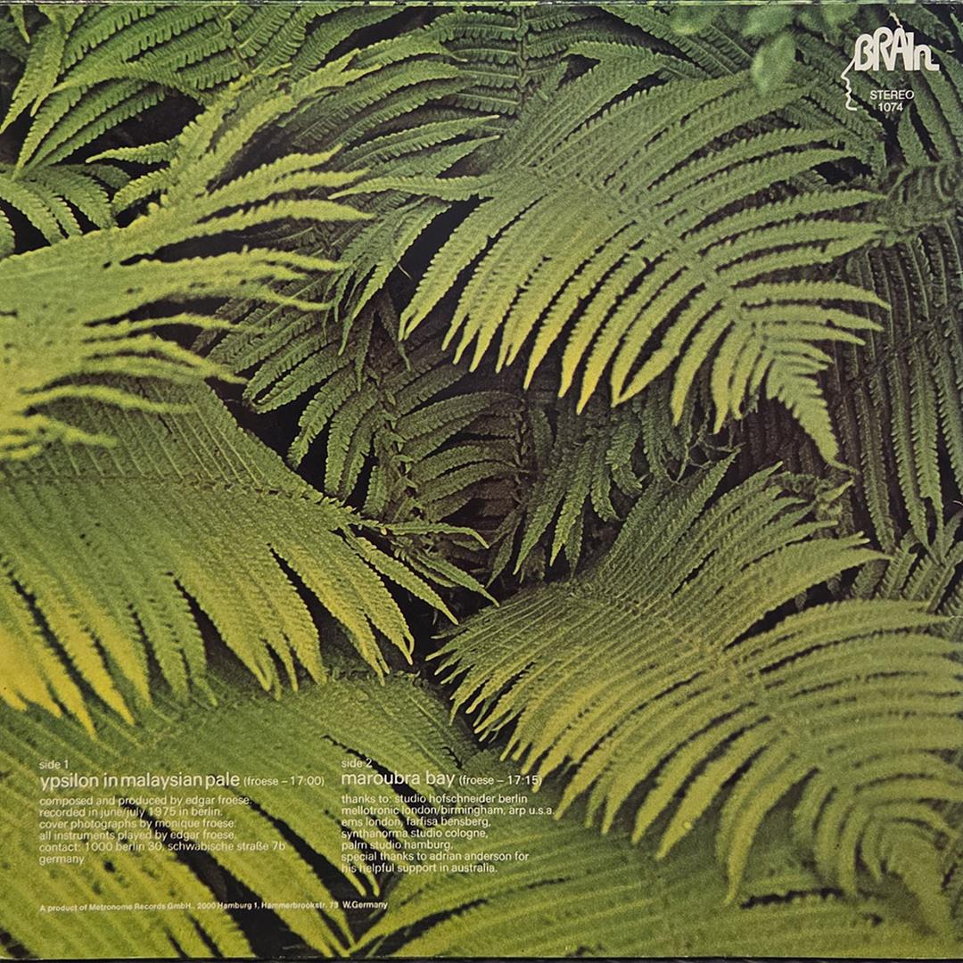 Ypsilon in malaysian pale - EDGAR FROESE Płyta winylowa LP - Vinylhouse - sklep z muzyką na płytach winylowych