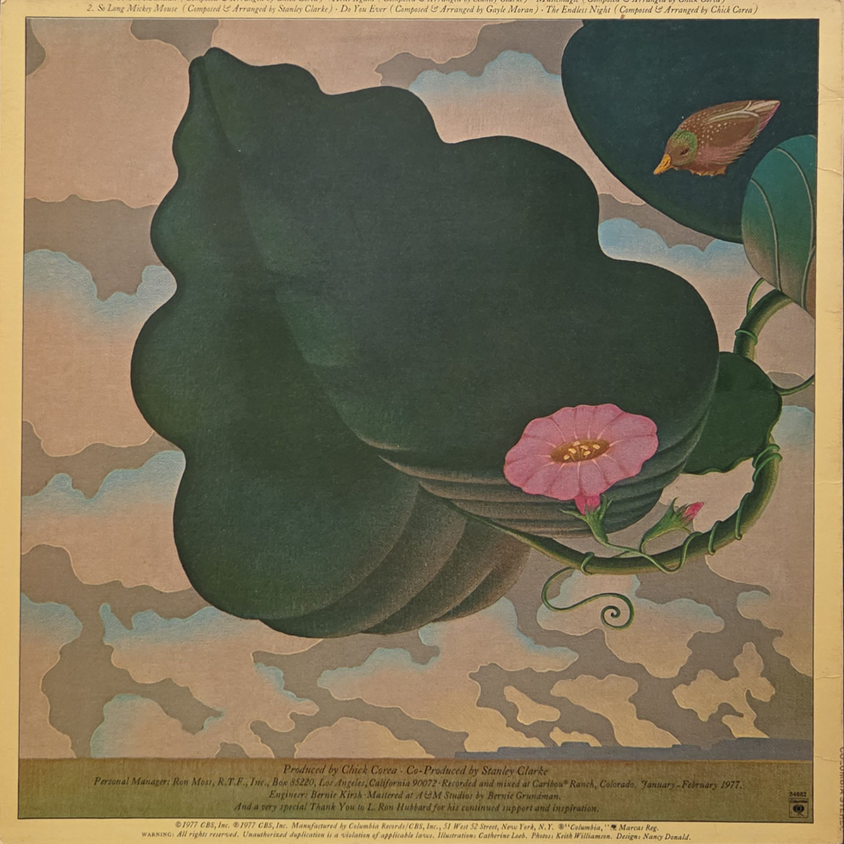 Musicmagic - RETURN TO FOREVER Płyta winylowa LP - Vinylhouse - sklep z muzyką na płytach winylowych