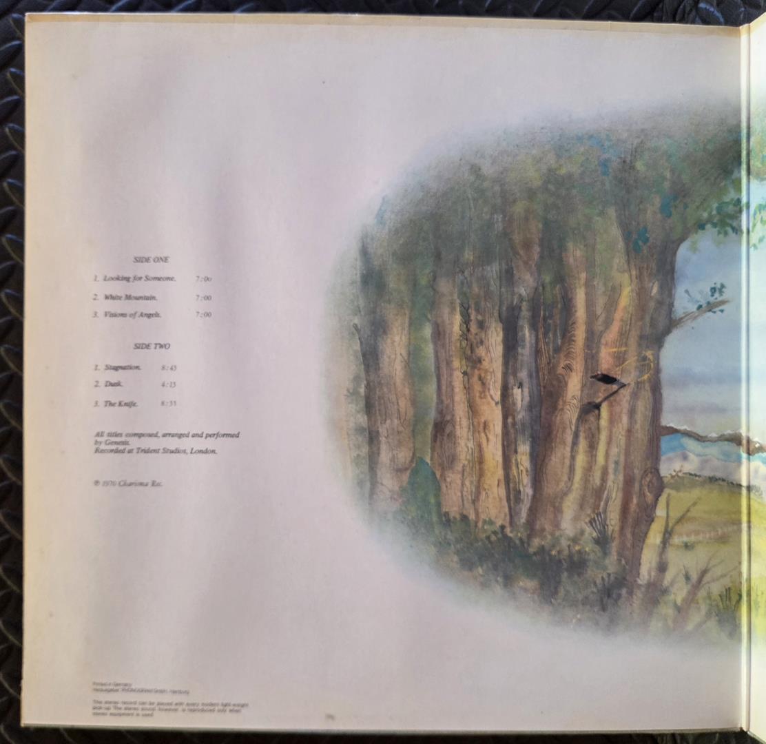 Trespass - GENESIS Płyta winylowa LP - Vinylhouse - sklep z muzyką na płytach winylowych