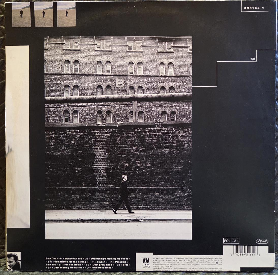 Wonderful life - BLACK Płyta winylowa LP - Vinylhouse - sklep z muzyką na płytach winylowych