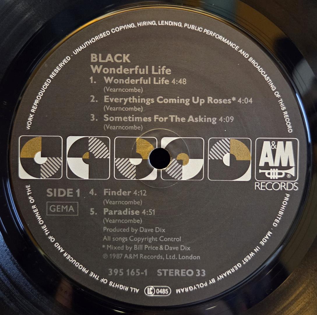 Wonderful life - BLACK Płyta winylowa LP - Vinylhouse - sklep z muzyką na płytach winylowych