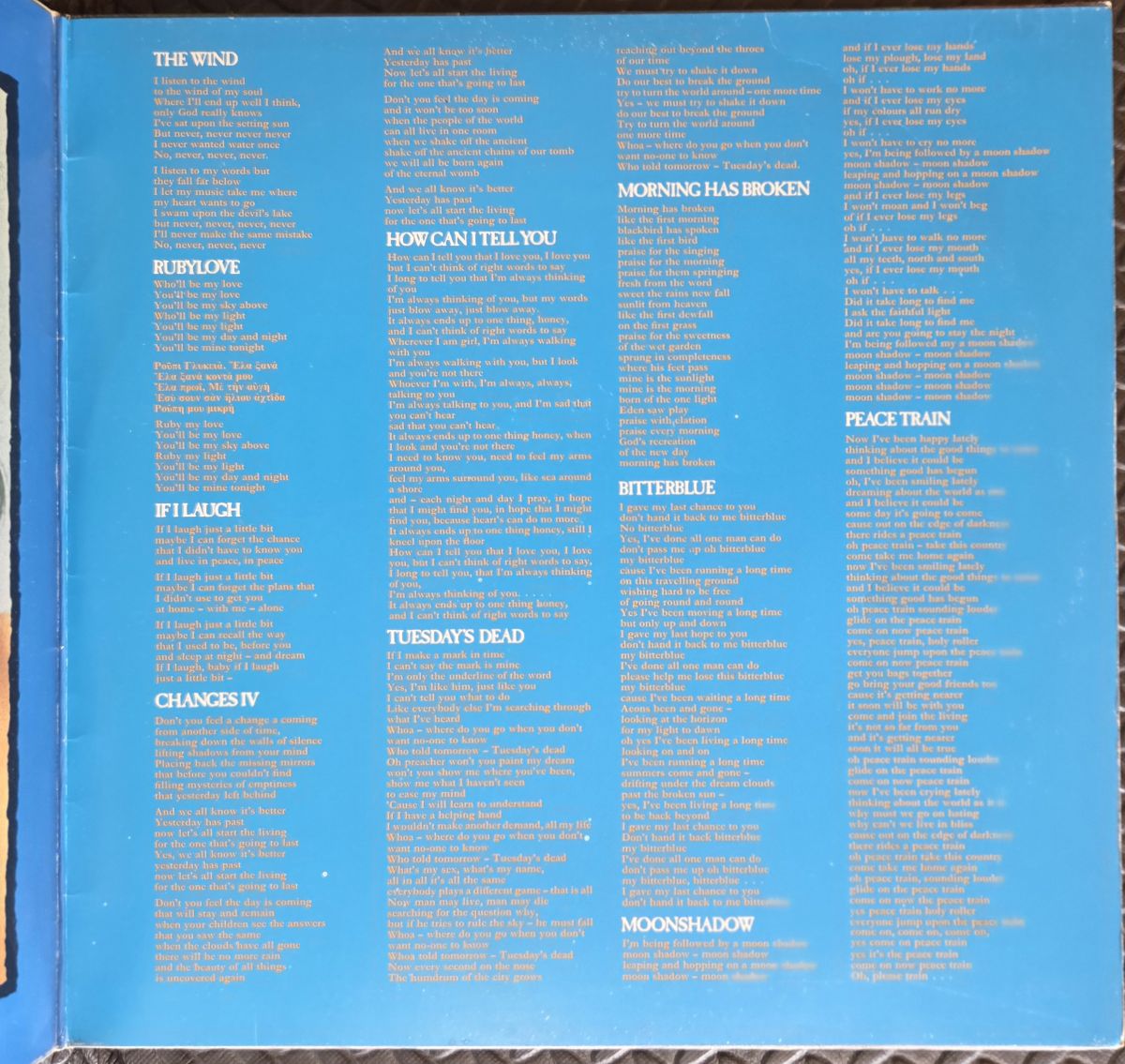 Treaser and the firecat - CAT STEVENS Płyta winylowa LP - Vinylhouse - sklep z muzyką na płytach winylowych