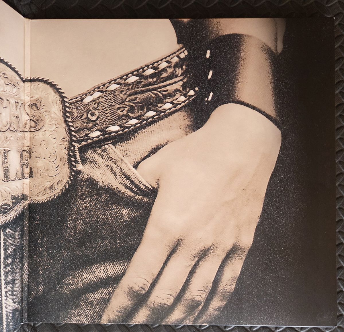 Home - DIXIE CHICK Płyta winylowa LP - Vinylhouse - sklep z muzyką na płytach winylowych