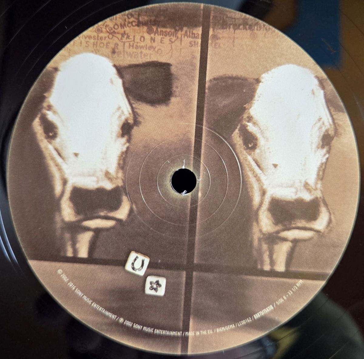 Home - DIXIE CHICK Płyta winylowa LP - Vinylhouse - sklep z muzyką na płytach winylowych