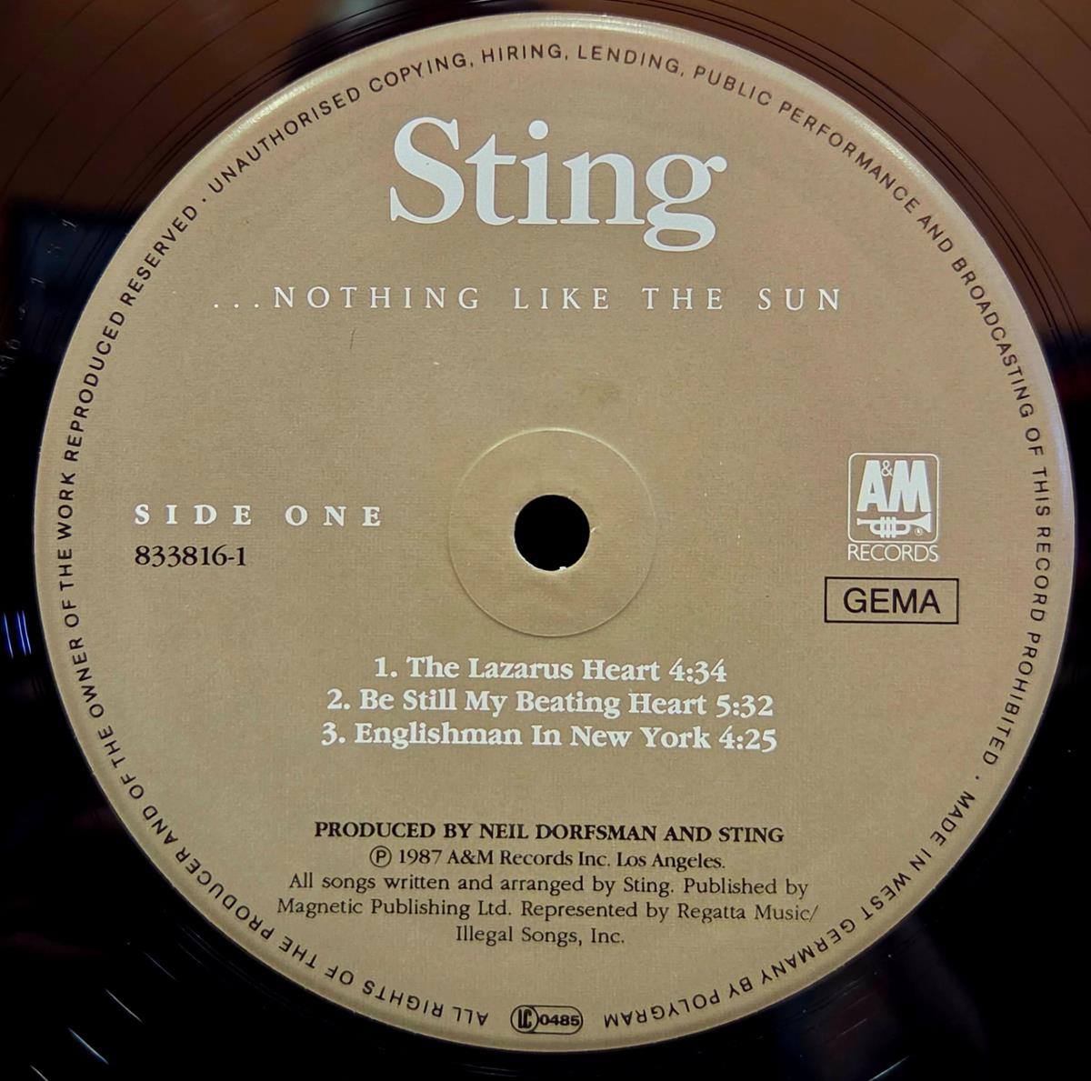 ... Nothing like the sun - STING Płyta winylowa LP - Vinylhouse - sklep z muzyką na płytach winylowych