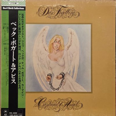 Captured angel - DAN FOGELBERG Płyta winylowa LP - Vinylhouse - sklep z muzyką na płytach winylowych