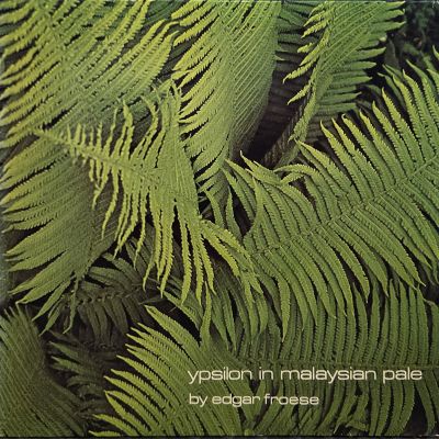 Ypsilon in malaysian pale - EDGAR FROESE Płyta winylowa LP - Vinylhouse - sklep z muzyką na płytach winylowych