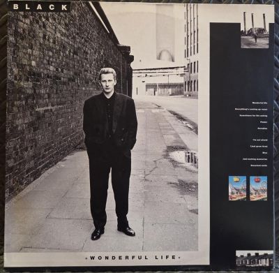 Wonderful life - BLACK Płyta winylowa LP - Vinylhouse - sklep z muzyką na płytach winylowych