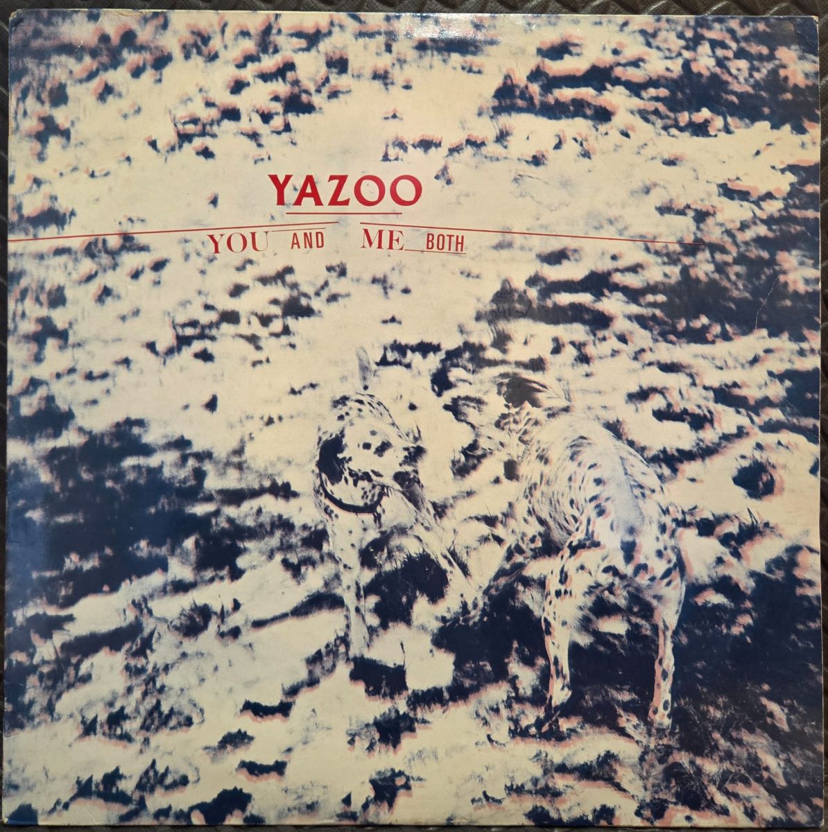 You and me both - YAZOO Płyta winylowa LP - Vinylhouse - sklep z muzyką na płytach winylowych