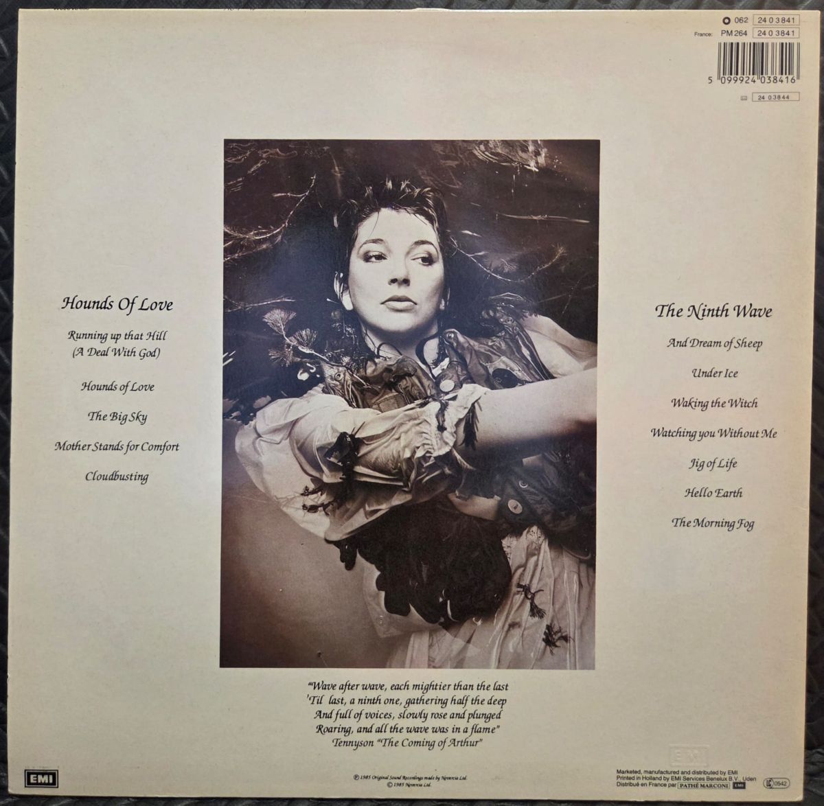 Hounds of love - KATE BUSH Płyta winylowa LP - Vinylhouse - sklep z muzyką na płytach winylowych