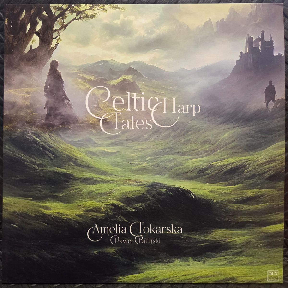Celtic harp tales - AMELIA TOKARSKA, PAWEŁ BILIŃSKI Płyta winylowa LP - Vinylhouse - sklep z muzyką na płytach winylowych